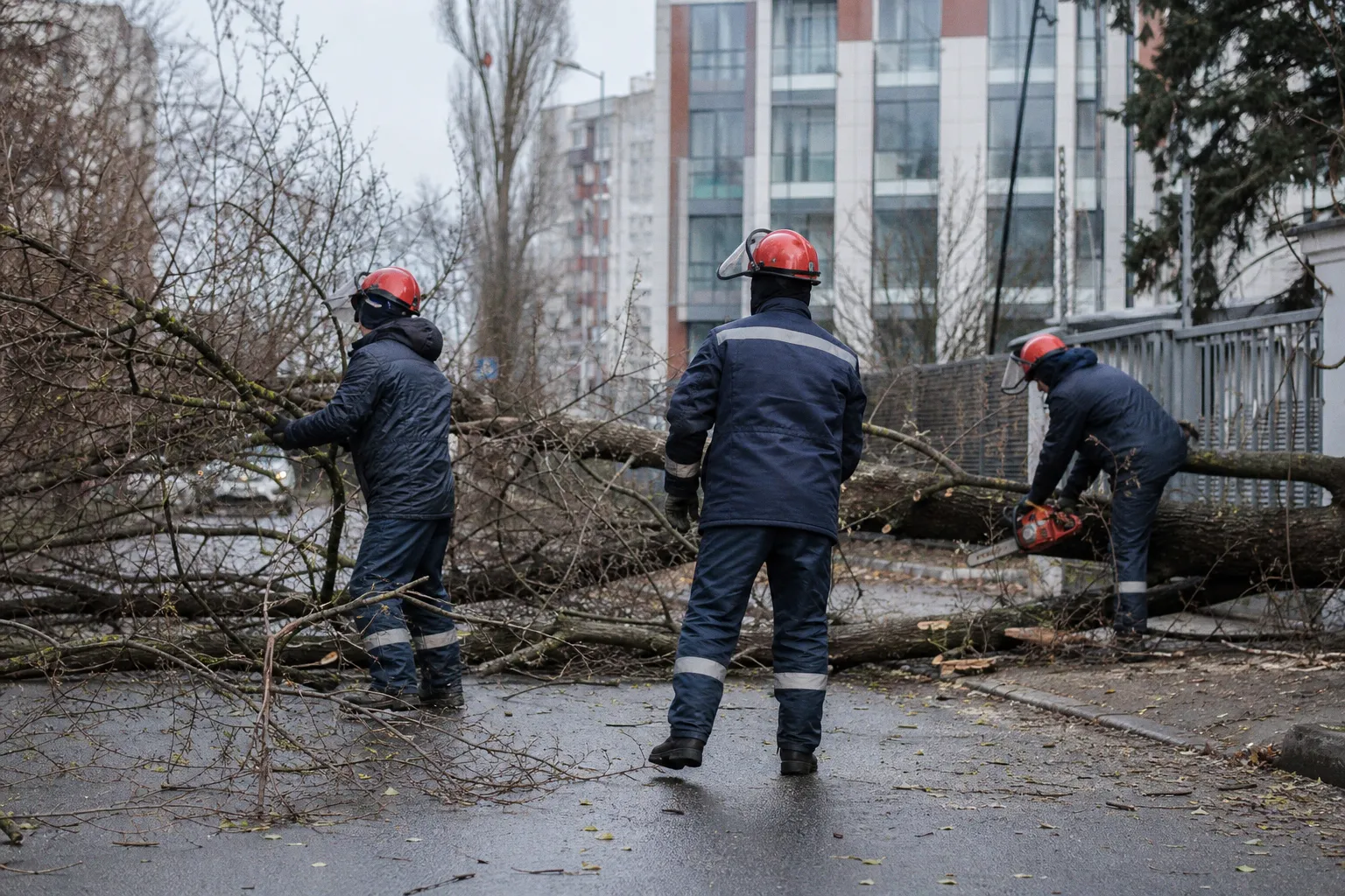 В Ростовскую область стягивают дополнительные силы энергетиков для ликвидации последствий аварий